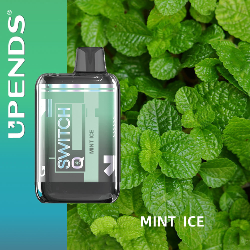 SWITCH Q-20000 PUFFS-MINT ICE